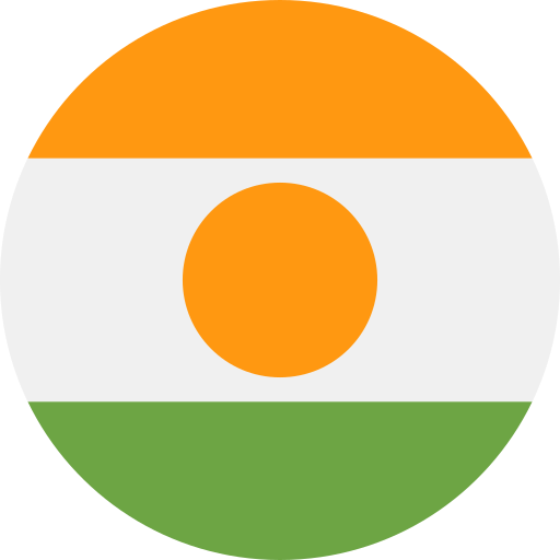 Niger Flag